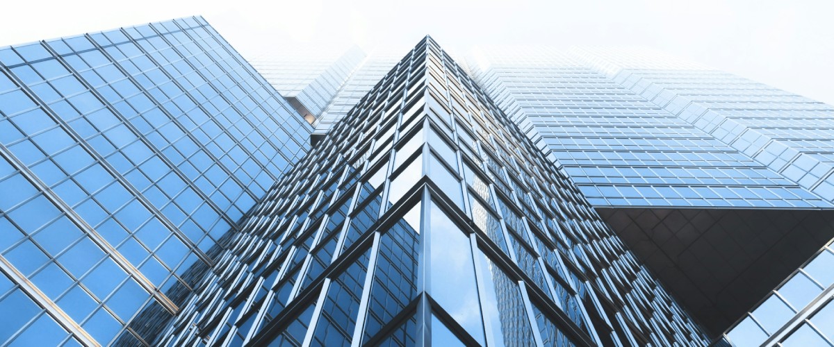 Representation of Executives, Partners, Founders, and Skilled Professionals